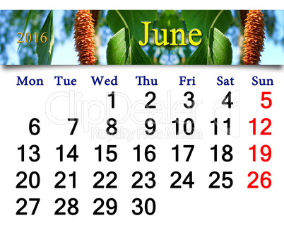 calendar for June 2016 with image of birch's leaves