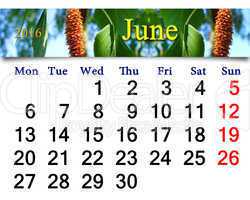 calendar for June 2016 with image of birch's leaves