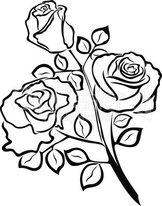 Black outline of rose flowers