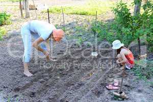 mother and her daughter plant seeding-onion in the ground