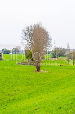 Auenlandschaft