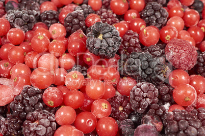 Hintergrund aus vielen gefrorenen Beerenfrüchten