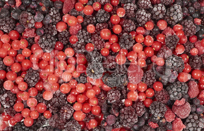 Hintergrund aus vielen gefrorenen Beerenfrüchten