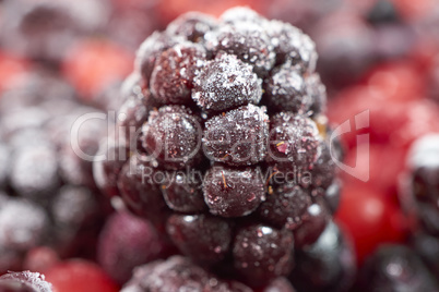 Makroaufnahme von gefrorener Brombeere auf anderen Beeren