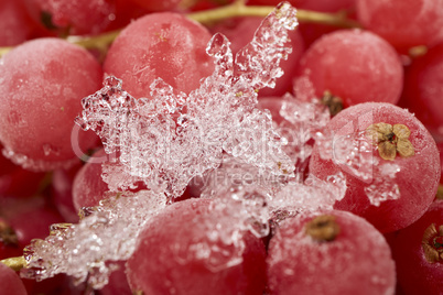 Hintergrund aus tiefgefrorenen Johannisbeeren