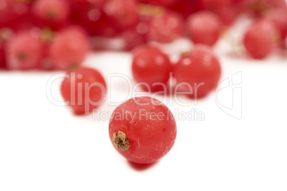 Gefrorene mit Eiskristallen überzogene Johannisbeeren