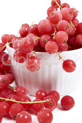 Gefrorene Johannisbeeren mit Stielen in Porzellanschale