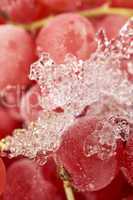 Makro von gefrorenen Johannisbeeren mit Eiskristallen