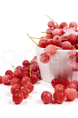 Gefrorene Johannisbeeren mit Stielen in Porzellanschale