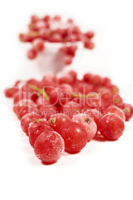 Gefrorene Johannisbeeren mit Stielen in Porzellanschale