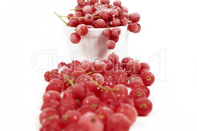 Gefrorene Johannisbeeren mit Stielen in Porzellanschale