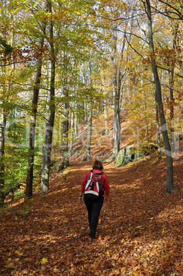 Wandern im Herbst