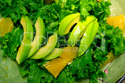 fresh avocado salad