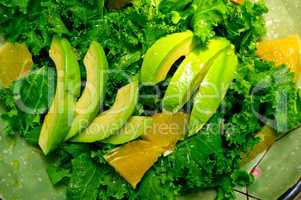 fresh avocado salad