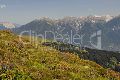 Am Sellraintaler Höhenweg