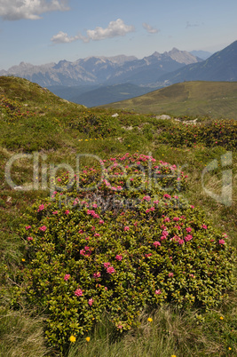 Am Sellraintaler Höhenweg