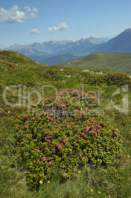 Am Sellraintaler Höhenweg