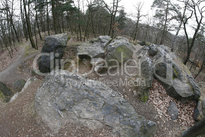 Stones In The Forest