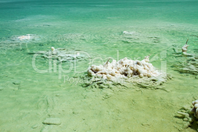 Beautiful coast of the Dead Sea .