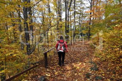 Wandern im Herbst