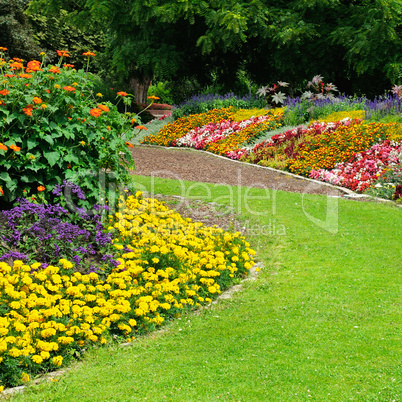 Blossoming flowerbeds in the park