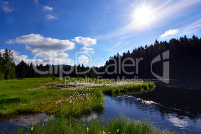 Fichtelsee See Wiese Bayern