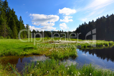 Fichtelsee See Bayern