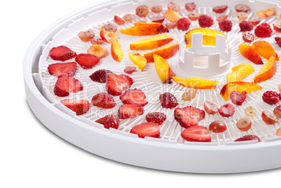 Slices of berries and fruits on dehydrator tray