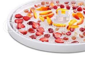 Slices of berries and fruits on dehydrator tray