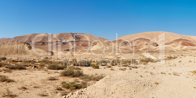 Desert landscape near the Large Crater (Makhtesh Gadol) in Israel's Negev desert