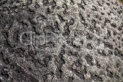 Detail of a rock called Trovant - The Living and Growing Stones