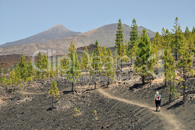 Aufstieg zur Montana de la Botija, Teneriffa