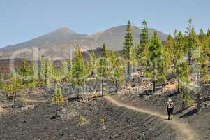 Aufstieg zur Montana de la Botija, Teneriffa