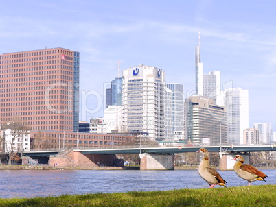 Mainufer mit Blick zur Cityskyline