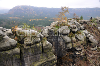 Auf dem Neuen Wildstein, Elbsandsteingebirge