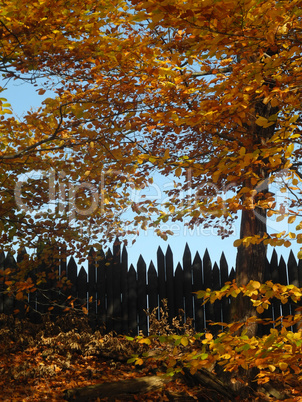 Zaun im Wald