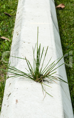 Concrete block with grass growing out of it