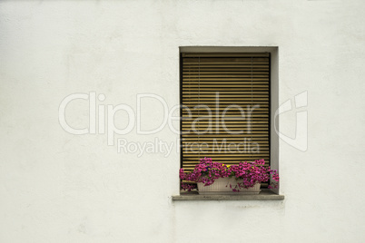 Venetian windows with flowers