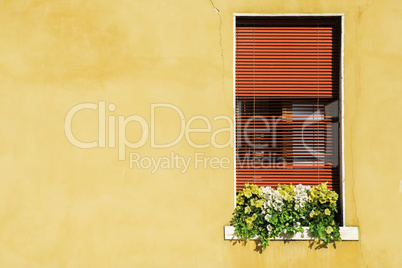 Venetian windows with flowers