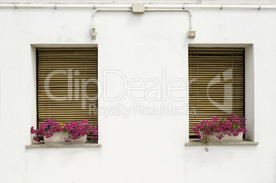 Venetian windows with flowers