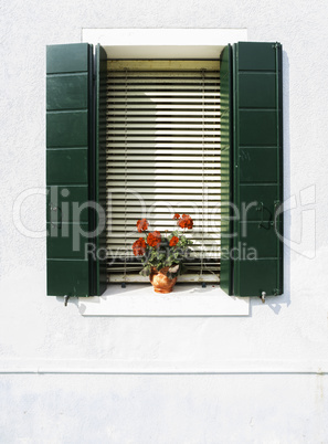 Venetian windows with flowers