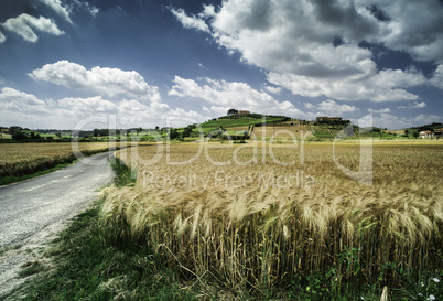 Cereal crops and farm in Tuscany