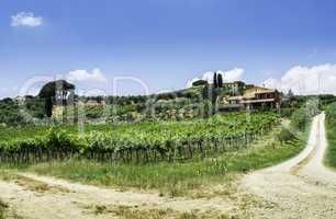 Vine plantations and farmhouse in Italy