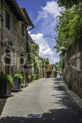 Vintage italian houses with flowers