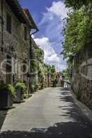 Vintage italian houses with flowers