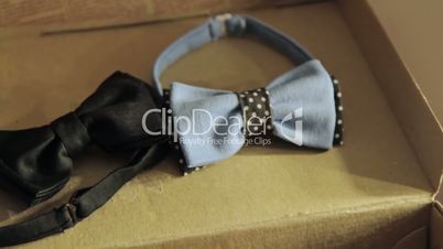 Black and blue bow-tie in case