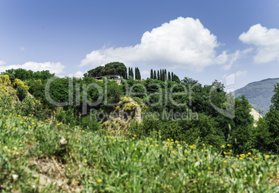 Tuscany landscape