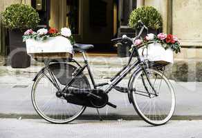 Italian vintage bicycle