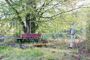 Baum mit Ruhebank