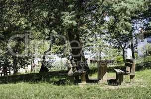 Wooden benches and a table in the woods